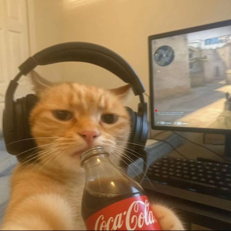 Foto Profil Bayu
